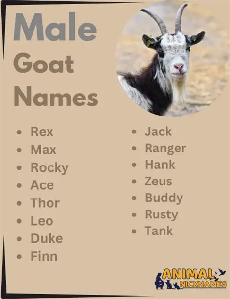 7 Ways To Nail Goat Name Of Industry For Your Brand