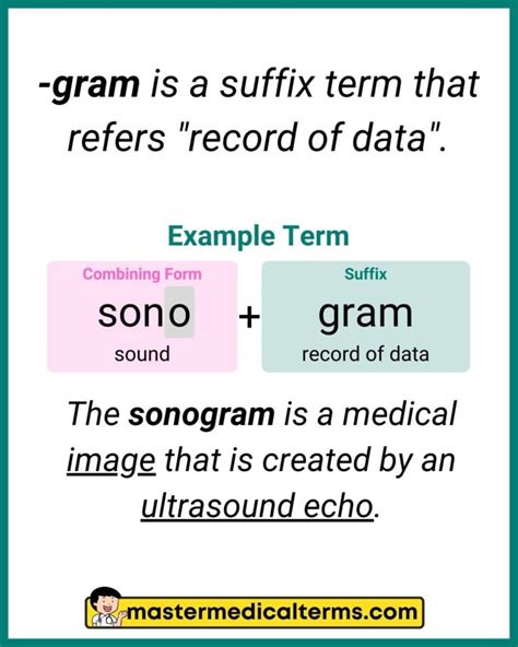 Unlocking Gram Medical Term Secrets Efficiently