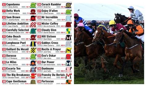 Grand National 2024 Horse By Horse Guide To All The Runners Grand National The Guardian Grand National 2024 Horse By Horse Guide To All The Runners Grand National The Guardian