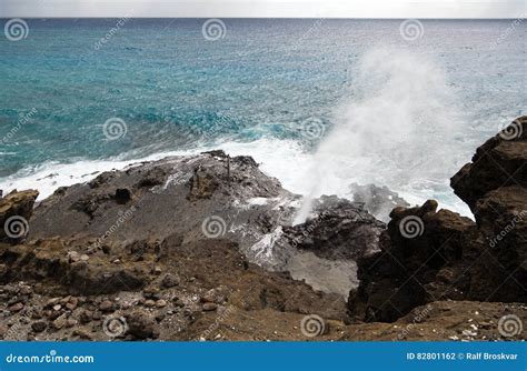 H Lona Blowhole