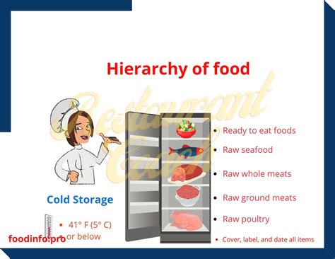 Hierarchy Of Food Pdf Restaurant Food Safety Tcs Etsy Hierarchy Of Food Pdf Restaurant Food Safety Tcs Etsy