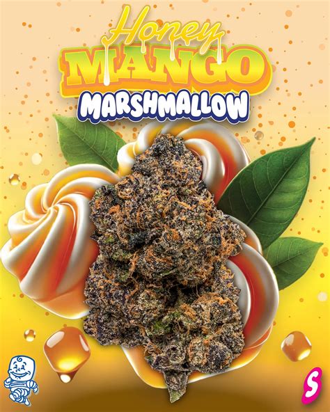 Honey Mango Sprinkles Weed Honey Mango Sprinkles Weed