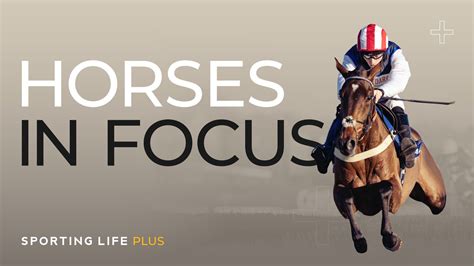 Horse In Focus Tips For Tuesday Eye Catchers Chosen By Timeform Experts Horse In Focus Tips For Tuesday Eye Catchers Chosen By Timeform Experts