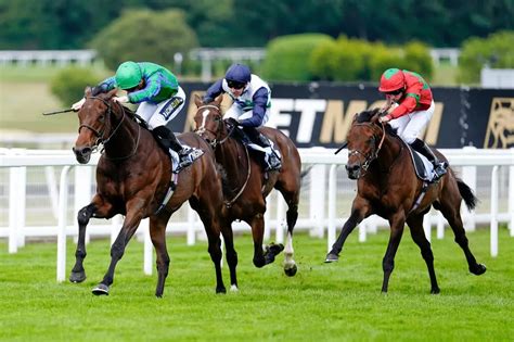 Horse Racing Goes On Strike For The First Time In Extraordinary Move The Mirror