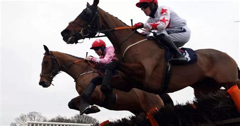 Horse Racing Results In Full From Catterick Newcastle And Leicester Daily Record