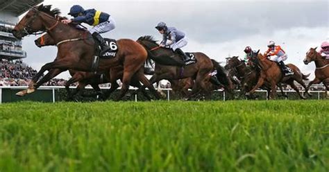 Horse Racing Results In Full From Newcastle Ludlow Doncaster And Newcastle Daily Record