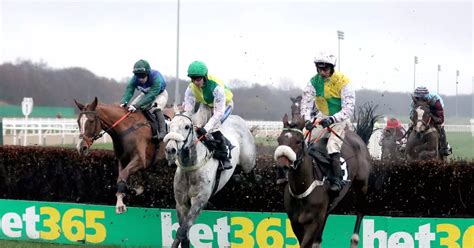 Horse Racing Results Live From Catterick Fontwell Kempton And Lingfield Including Tips And Best Bets Daily Record Horse Racing Results Live From Catterick Fontwell Kempton And Lingfield Including Tips And Best Bets Daily Record