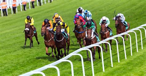 Horse Racing Results Schedule Latest News Horse Racing Results Schedule Latest News