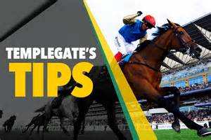 Horse Racing Tips He Shapes Like A Strong Stayer On Handicap Debut Templegate S Saturday Nap Can Exploit His Mark Horse Racing Tips He Shapes Like A Strong Stayer On Handicap Debut Templegate S Saturday Nap Can Exploit His Mark