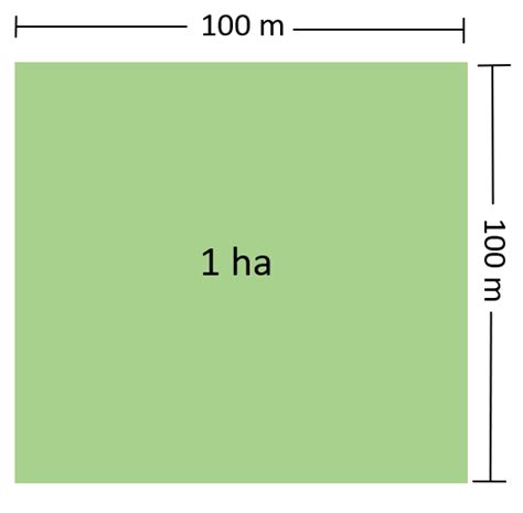 How Big is One Hectare Explained Simply