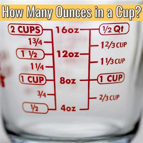How Many Cups Is 30 Oz: Quick Conversion Guide for Every Cook