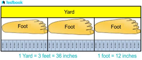 How Many Feet in a Yard: Quick Fact!