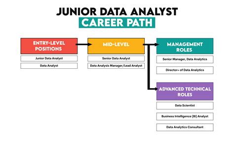 How Much Does Junior And Intermediate Data Analyst Earn In Australia