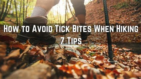 How To Avoid Tick Bites When Hiking 7 Easy Strategies