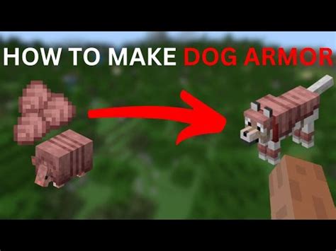 How To Make Dog Armor