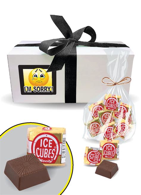 I M Sorry Ice Cubed Chocolate Candy Gift