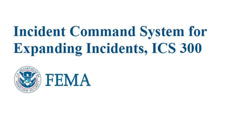 Unlock ICS 300: Ultimate Security Insights