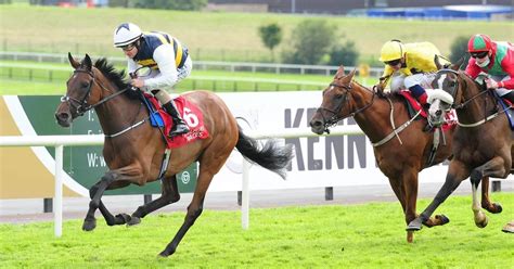 Irish Racing Will Be Hoping To Forget Its Woes At The Galway Racing Festival Buzz Ie Irish Racing Will Be Hoping To Forget Its Woes At The Galway Racing Festival Buzz Ie