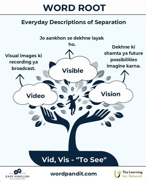 Maximize Earnings: Careers In Jobs With The Root Vis/Vid