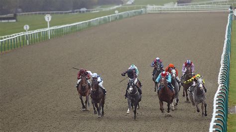 Lingfield Racecard Results And Tv Schedule Today S Tips Runners Results And Stats For The Meeting Live On At The Races This Wednesday April 25 Lingfield Racecard Results And Tv Schedule Today S Tips Runners Results And Stats For The Meeting Live On At The Races This Wednesday April 25