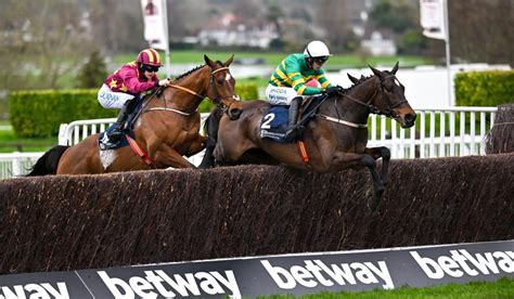 Live Punchestown 2024 Day 2 Results And Tips Live From The Course Punchestown Live Live Punchestown 2024 Day 2 Results And Tips Live From The Course Punchestown Live