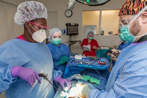 Major In Surgical Technology Surt Associate Degree In Applied Science 66 Semester Hours