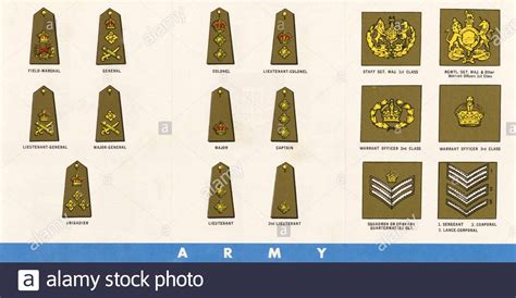 Major Insignia British Army Rank Structure Of The British Army Major Insignia British Army Rank Structure Of The British Army