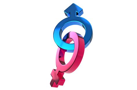 Male Female Sex Sign Gender Symbols Illustration 3D Rendering 3D Male Female Sex Sign Gender Symbols Illustration 3D Rendering 3D