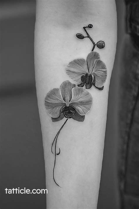 Meaning Of Orchid Flower Tattoo 200 Orchid Tattoo Designs Orchid Meaning Of Orchid Flower Tattoo 200 Orchid Tattoo Designs Orchid