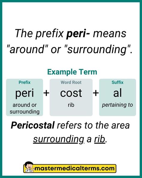 Master Peri: Simplify Medical Terminology Today!