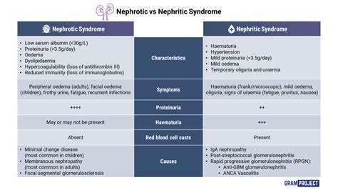 Nephritis vs Nephrotic Syndrome: Key Differences
