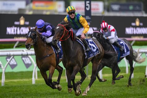Newcastle Stakes Past Winners Results Australia Racing And Sports
