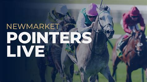 Newmarket Sunday Blog Includes Paddock Updates And Results