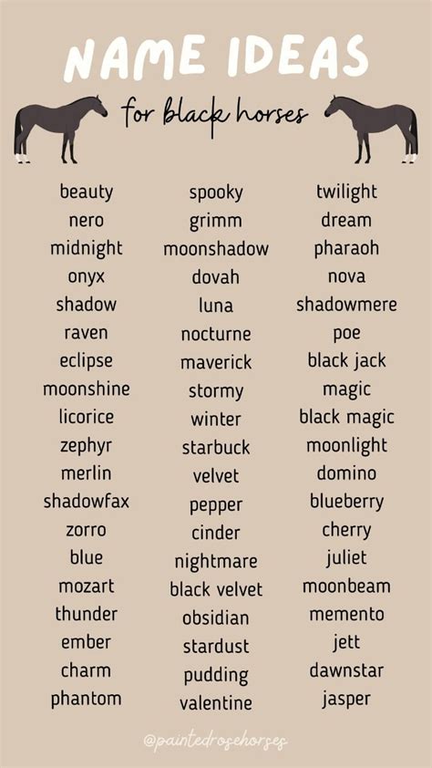 Nickname For A Horse