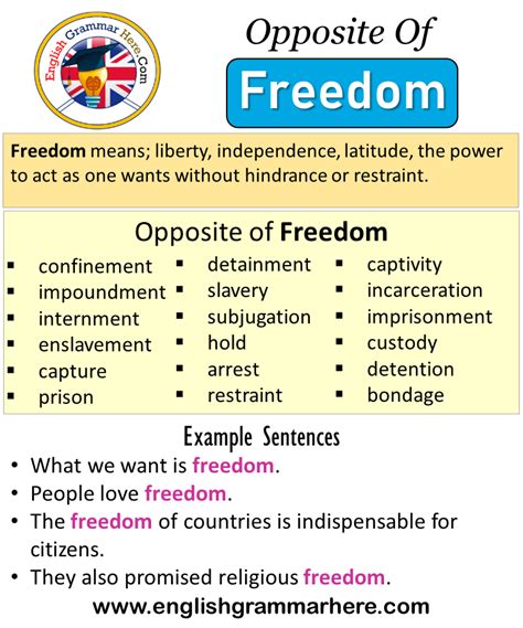 Exploring the Opposite of Freedom: Unveiling Constraints