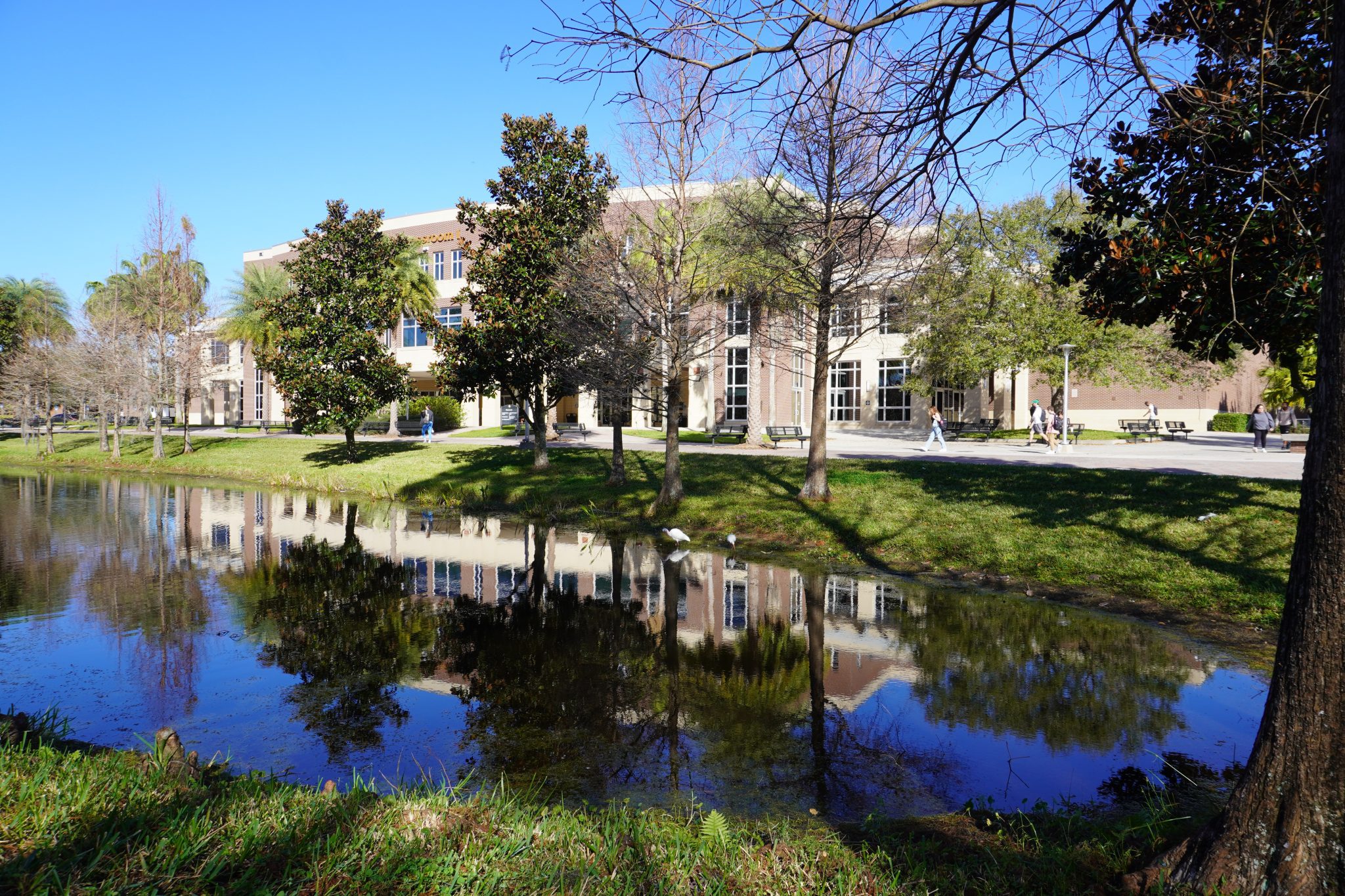 Palmetto Health Credit Union Columbia Sc