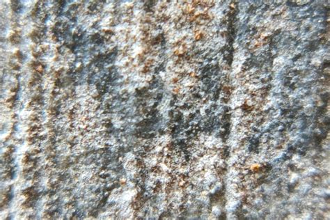 Photo Macro Abstract Object Surface With Natural Rough Texture Background 10453463 Stock Photo Photo Macro Abstract Object Surface With Natural Rough Texture Background 10453463 Stock Photo