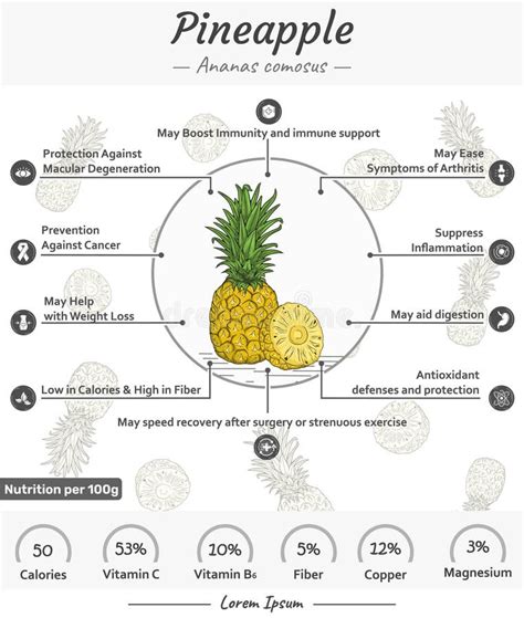 Pineapple Benefits Stock Illustrations 809 Pineapple Benefits Stock Illustrations Vectors Clipart Dreamstime Pineapple Benefits Stock Illustrations 809 Pineapple Benefits Stock Illustrations Vectors Clipart Dreamstime