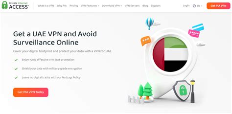 Private Adult Access UAE Revealed: Expert Insights