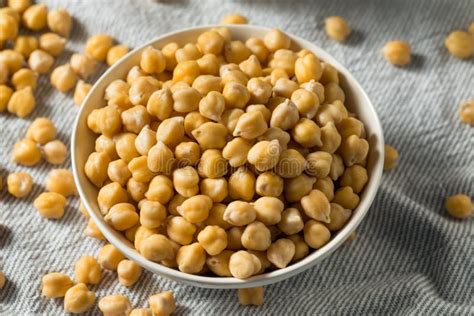 Raw Organic Garbanzo Beans Chickpeas Stock Image Image Of Ingredient Raw Organic Garbanzo Beans Chickpeas Stock Image Image Of Ingredient