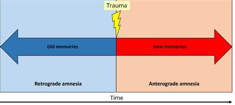 Retrograde vs. Anterograde Amnesia: Key Differences Uncovered