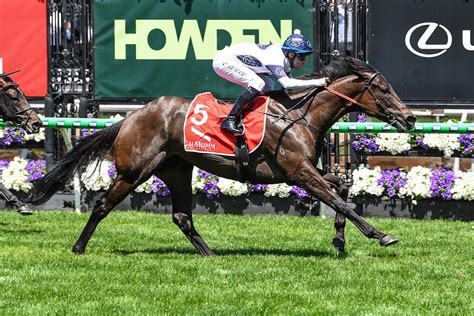 Rising Fast Stakes Results And Replay Caballus 2025 Just Horse Racing Rising Fast Stakes Results And Replay Caballus 2025 Just Horse Racing