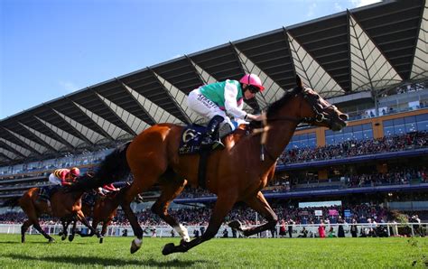 Royal Ascot Race Card Today Ultimate Guide To Day 1 On Tuesday Paddy