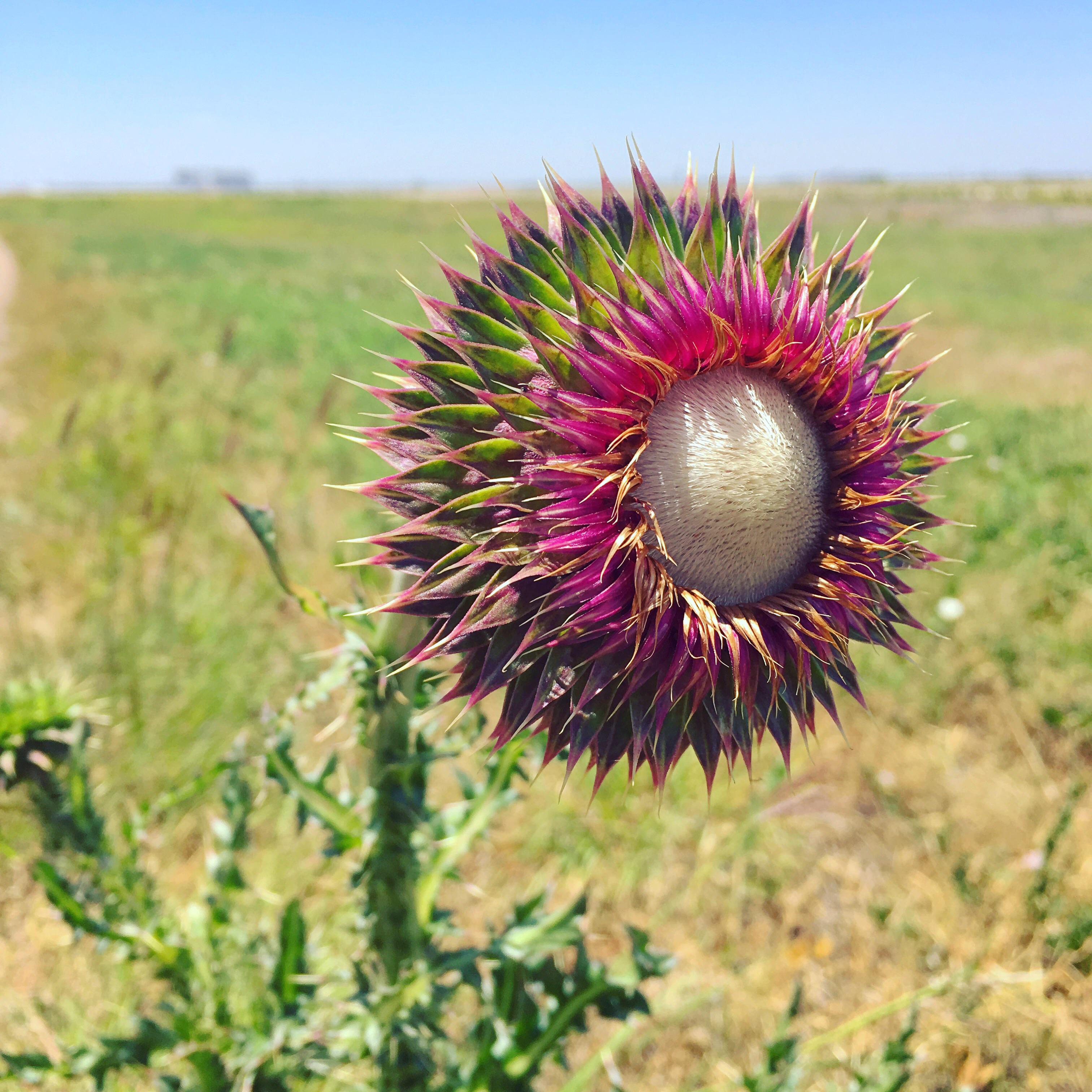 Russian Strikes On Zaporizhzhia Kill 16 Injure At Least 35 Ukraine Says World News The Indian Express