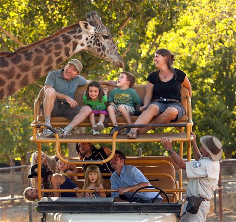 Safari West Other Great Outdoors In Santa Rosa Safari West Other Great Outdoors In Santa Rosa