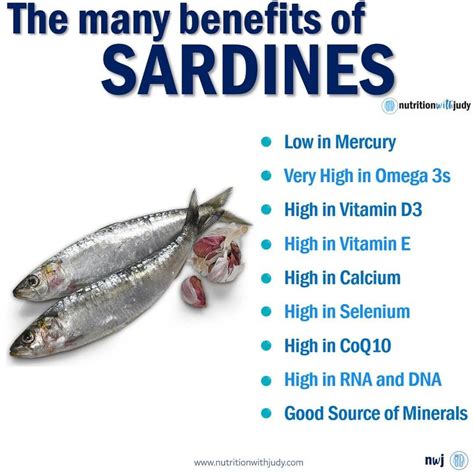 Sardine Nutrition Facts And Health Benefits Sardine Nutrition Facts And Health Benefits