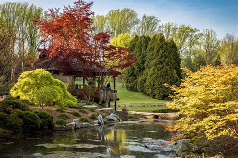 Silver Spring Md Home Prices