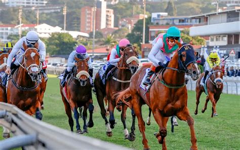 South African Horse Racing Race Cards Odds Results South African Horse Racing Race Cards Odds Results