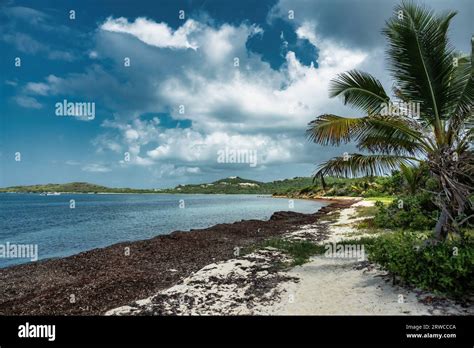 St Croix Jobs Virgin Island At Tawana Tibbs Blog