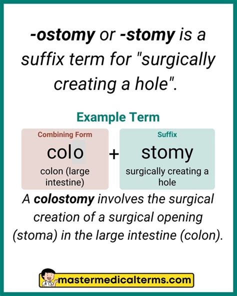 Stoma: The Complete Stomy Medical Term Guide